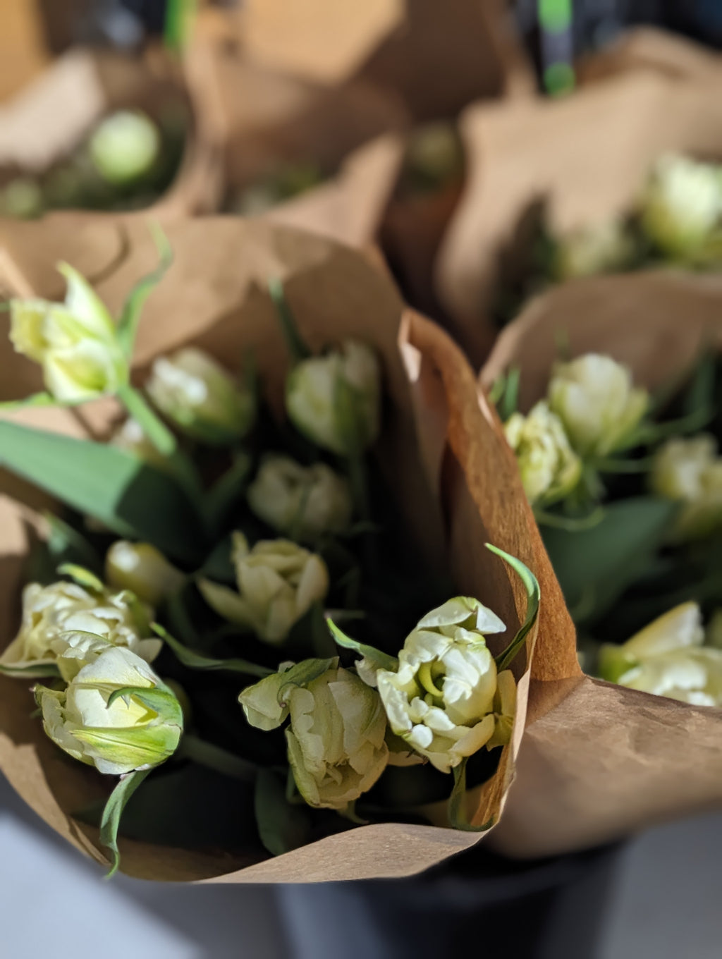 Seasonal Tulip Subscription