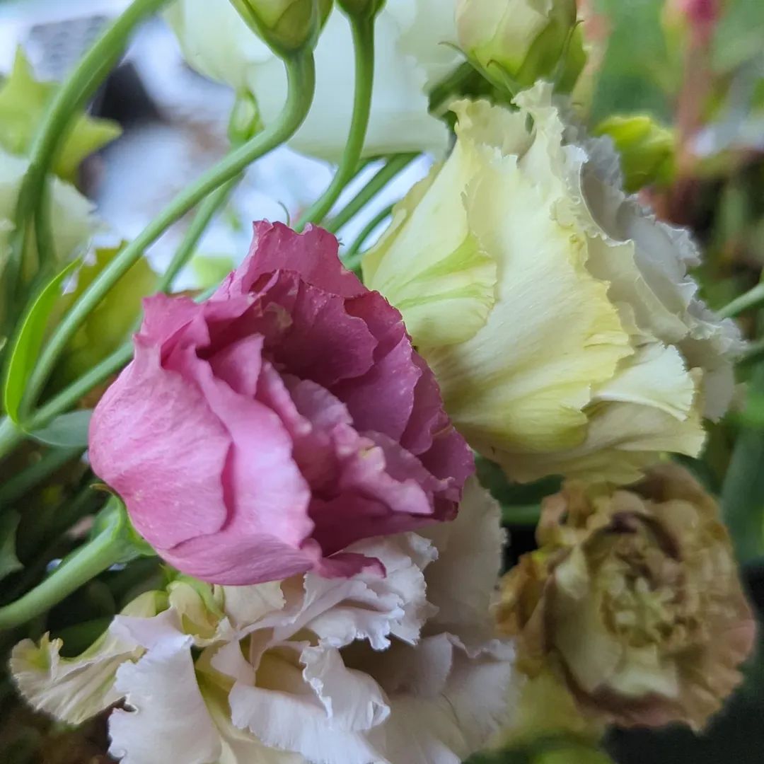 DIY Cut Flower Buckets
