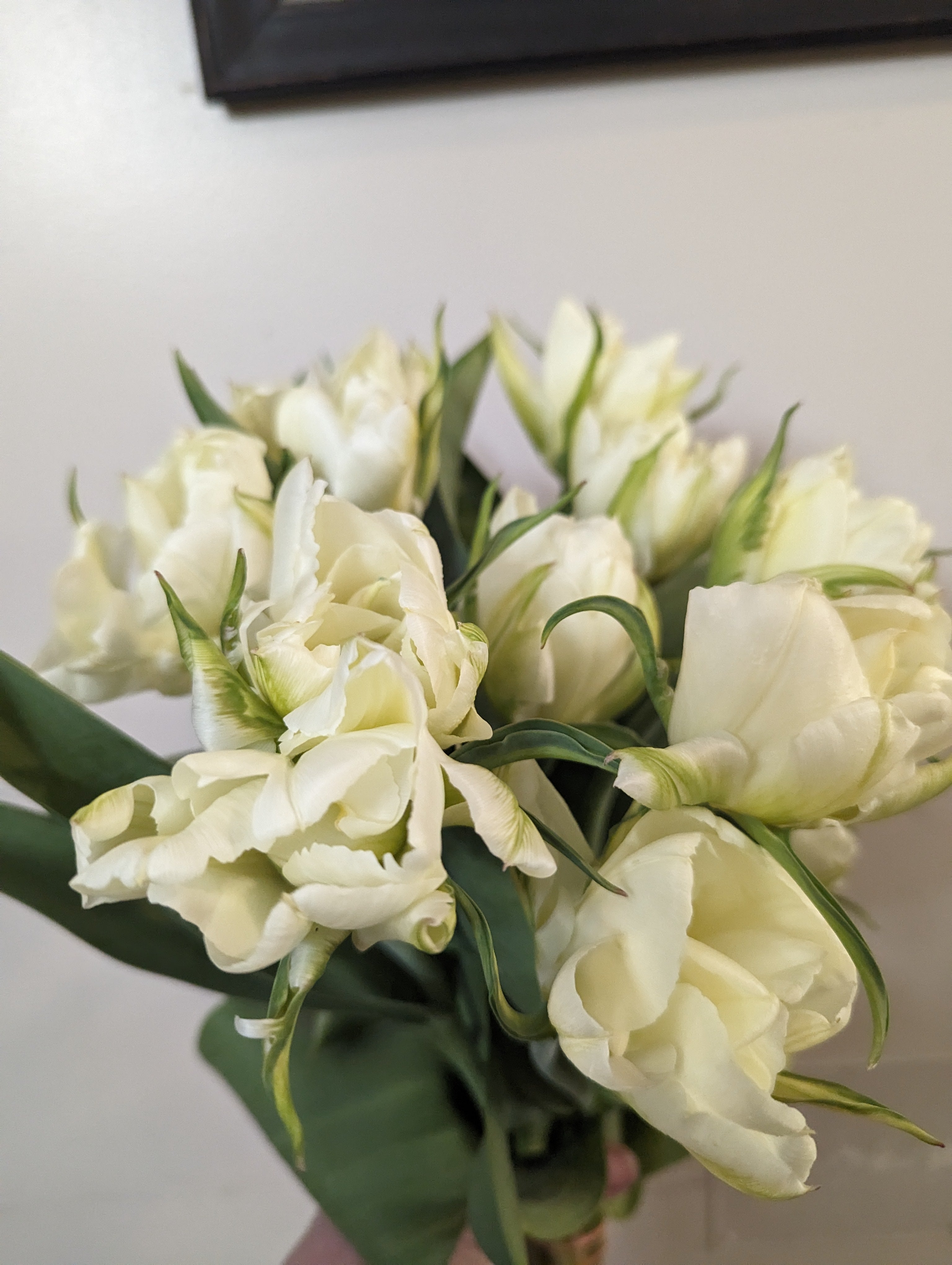 Seasonal Tulip Subscription