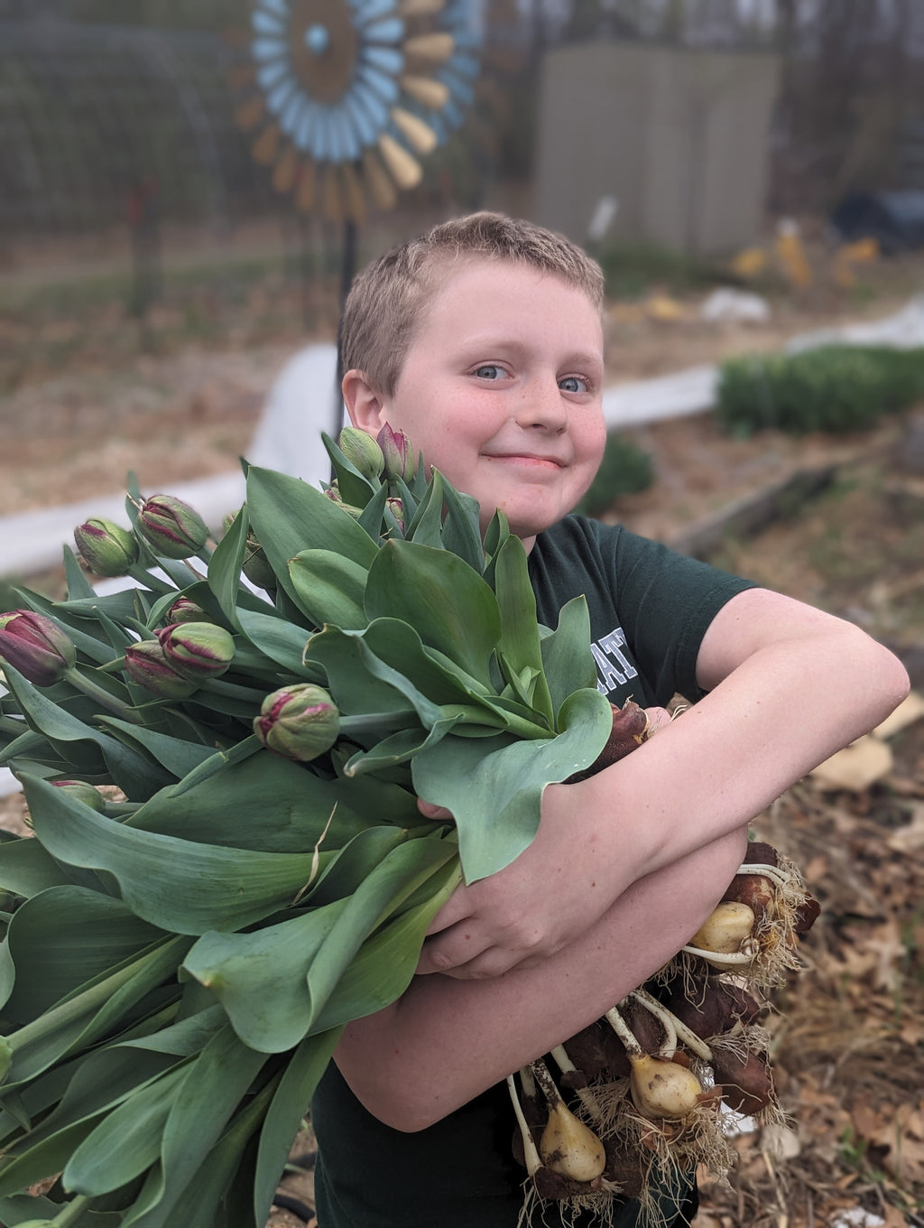 Seasonal Tulip Subscription