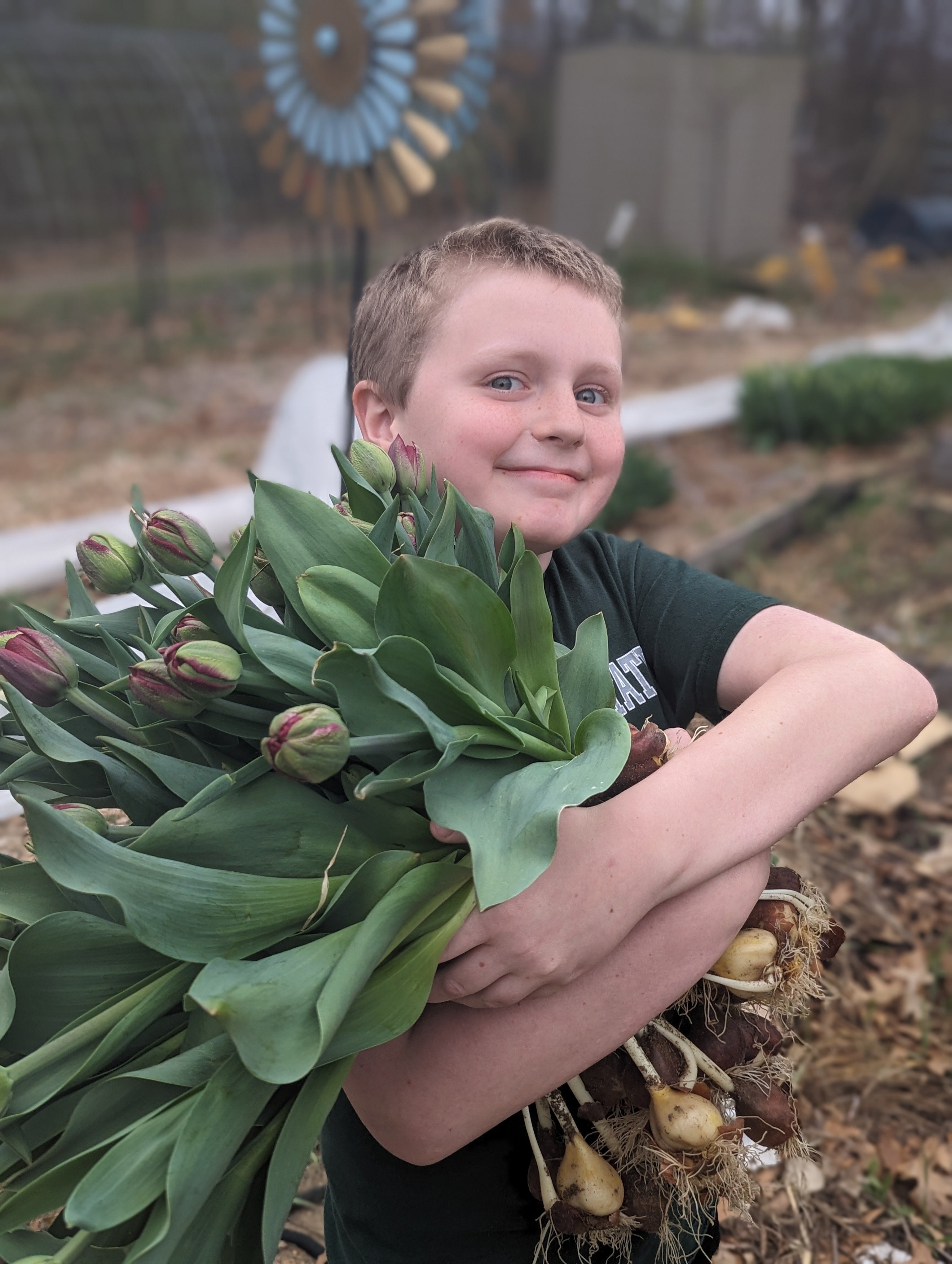 Seasonal Tulip Subscription